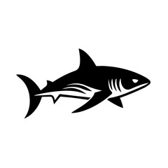 Shark Vector