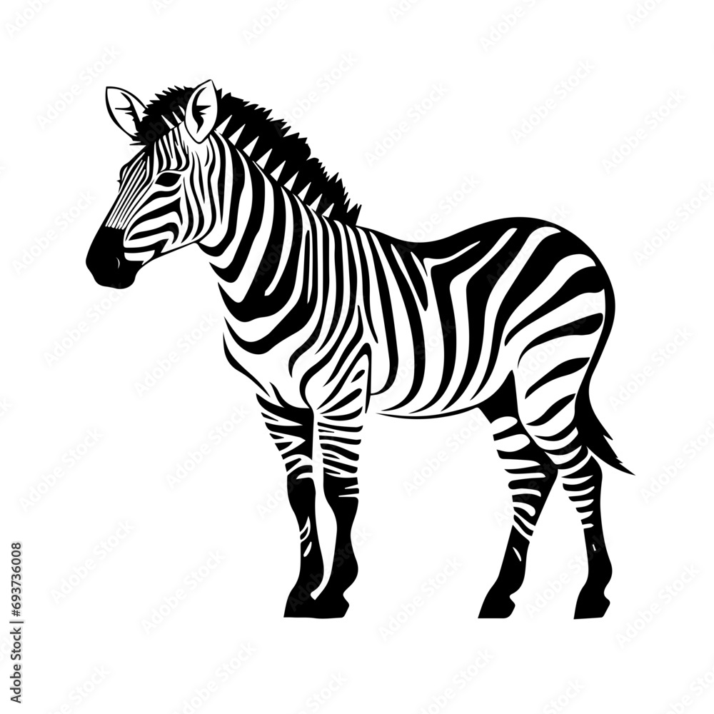 Wall mural zebra vector