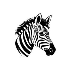 Fototapeta na wymiar Zebra Vector