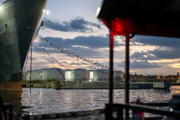 Birds Resting on a Ship Line