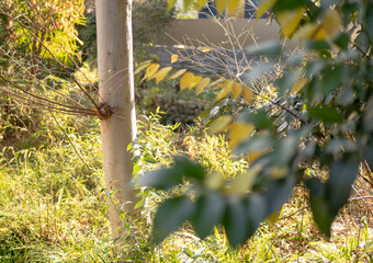 さむくなってきた