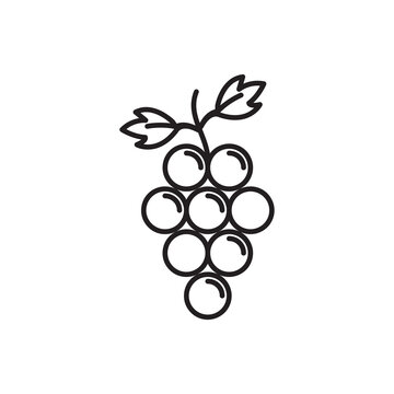 grape wine fruit with leaf line icon, flat trendy style illustration on white background..eps