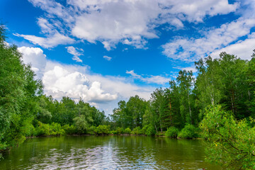 Lake in forest under blue sky. - 693755008