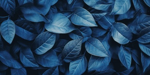 Top view full leaves texture background, blue tone - obrazy, fototapety, plakaty