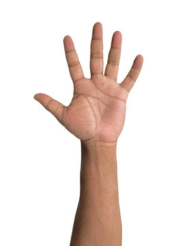 Transparent PNG of a human hand