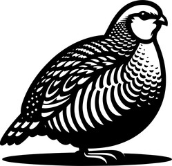 Partridge icon 13