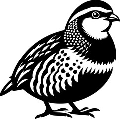 Partridge icon 6