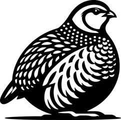 Obraz premium Partridge icon 3