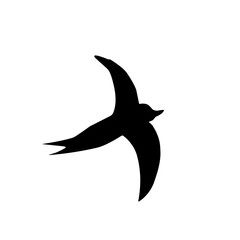 Flying Swallow Silhouette 