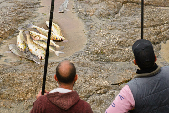 Dos hombres observando los peces que ellos mismos pescaron minutos atras.