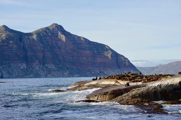 Foto auf Leinwand Hout Bay, Cape Town, South Africa © M