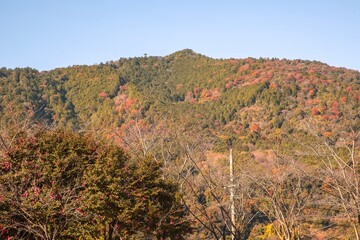 桑名市、多度大社付近から眺める多度山