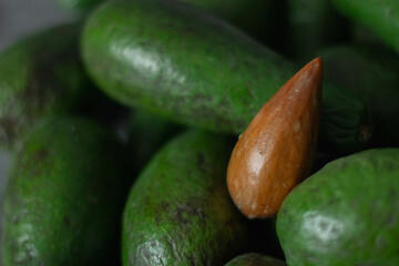 avocado