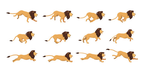 Lion Run Cycle 2d Animation Reference High Quality Customizable Vector Illustration - obrazy, fototapety, plakaty
