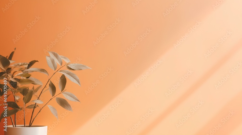 Poster a blurred shadow from plants or a shadow from a window on a peach wall. minimal abstract background 