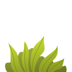 Cartoon bush illustration