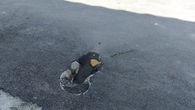 Cat yellow liquid poop on street with flies