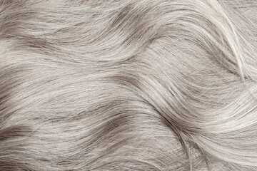 Blond hair close-up as a background. Women's long blonde hair. Beautifully styled wavy shiny curls....