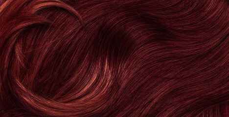 Dark red hair close-up as a background. Women's long brown hair. Beautifully styled wavy shiny curls. Coloring hair with bright shades. Hairdressing procedures, extension.