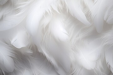 White feathers wallpaper. Generative AI. - obrazy, fototapety, plakaty