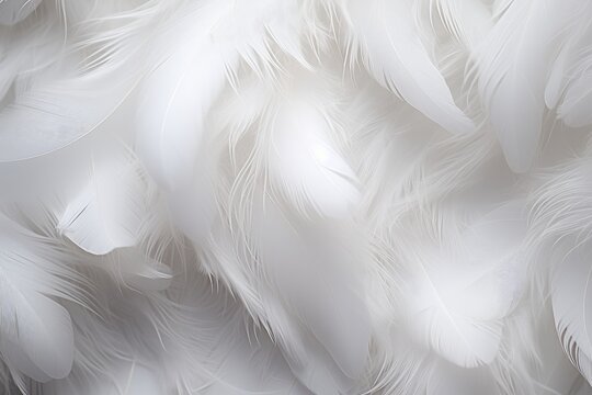White feathers wallpaper. Generative AI.