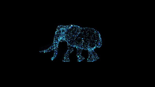 Abstract blue Elephant walking on a black background. Poly wireframe illustration. Wild animals concept. Polygonal vector art with lines and dots.
