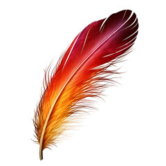 Phoenix Feather, transparent background, isolated image, generative AI