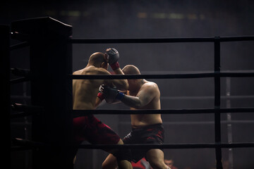  MMA Boxers fighters fight in fights without rules in the ring octagon