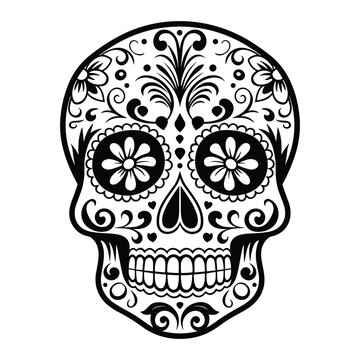 Sugar Skull Vector Illustration