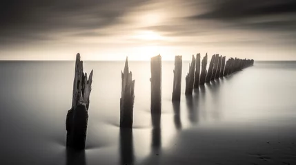  Wood posts in twilight landscape like ethereal sculptures, long exposure shot © Keitma