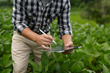 Hands of farmer, Agriculture technology farmer man using tablet Modern technology concept agriculture.