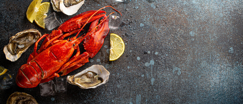 Lobster and oysters with lemon and ice cubes on blue stone rustic background