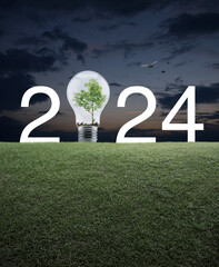 2024 white text and light bulb with tree inside on green grass field over sunset sky with birds,...