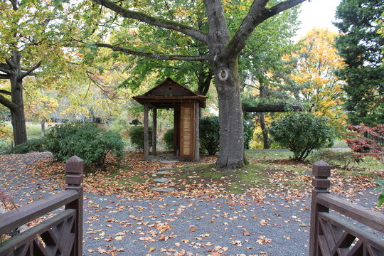 hut in the forest
