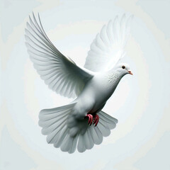 Dove of peace flying with a green twig after flood on a white background