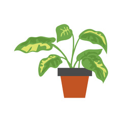 set of plants with brown pots vector