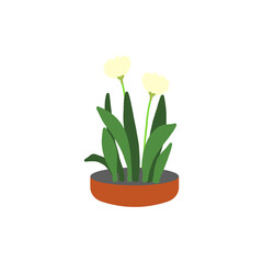 set of plants with brown pots vector