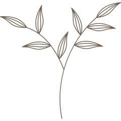 Aesthetic Minimalist Leaf