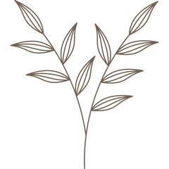 Aesthetic Minimalist Leaf