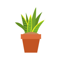 set of plants with brown pots vector