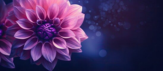Purple gradient flower with leaf overlay
