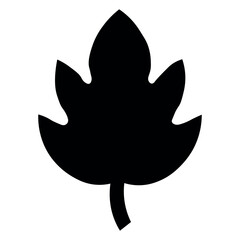 Leaf black icon on white background