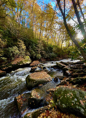Water Rushing Through Babcock State Park