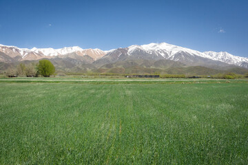 Beautiful view to landscape and andean snowy peaks in the countryside