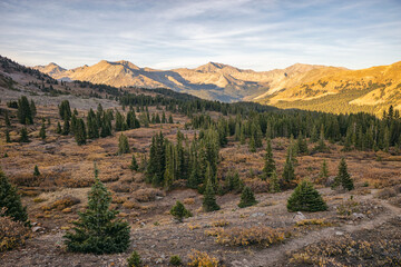 Evening landscape in the Collegiate Peaks Wilderness, Colorado