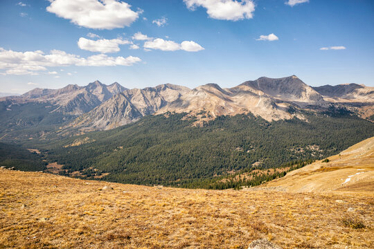 Texas Creek basin in the Collegiate Peaks Wilderness, Colorado