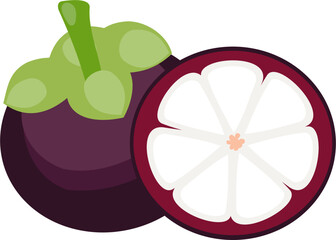 Vector illustration, mangosteen fruit, with green leaves, exotic fruit isolated on white background.