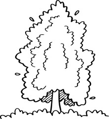 decoration hand drawn tree illustration.