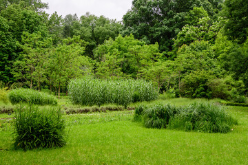 Vivid landscape in Alexandru Buia Botanical Garden from Craiova in Dolj county, Romania, with flowers, grass and large green tres in a beautiful sunny spring day with blue sky and white clouds
