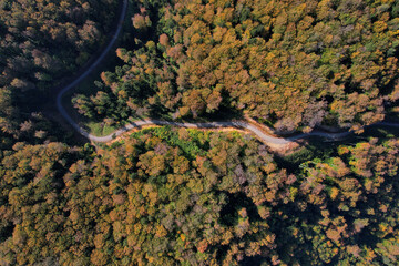 An aerial perspective reveals a trail meandering through a mountainous forest, weaving its way amidst the dense trees adorned in vibrant hues of autumn colors.